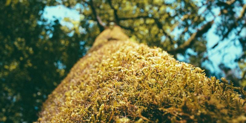 Industrial LED and LED Solutions: The Future of Efficient LED Lighting