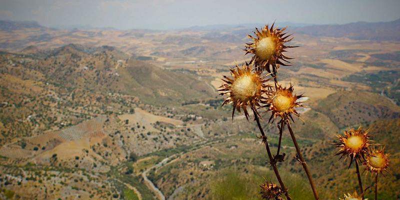 LED Lighting 17：引领能效与显示技术的未来，聚焦ZXDLED创新方案