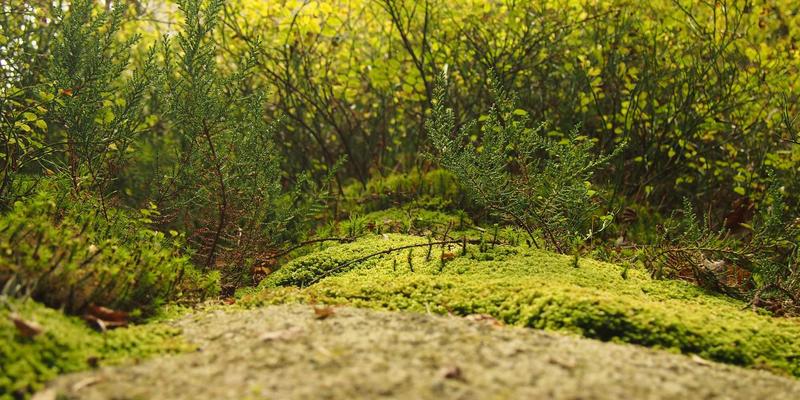 LED Lighting入门：从基础原理到工业应用的全方位指南