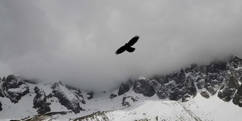 ZXDLED与商业照明革新：如何通过高效节能照明实现可持续发展与成本控制
