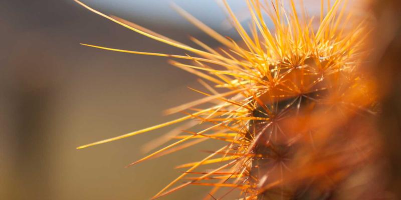 商业照明新纪元：LED照明技术如何重塑商业空间与视觉展示