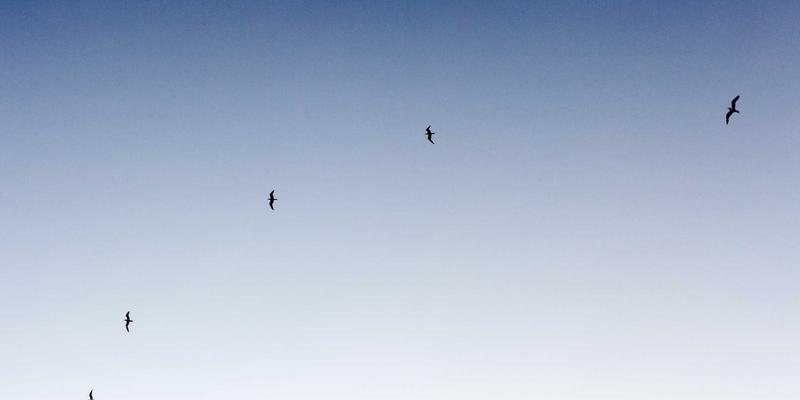 高效节能与智能控制：LED Lighting 96如何革新工业照明领域